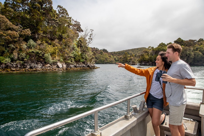 Ulva Island Explorer: Cruise & Guided Walk