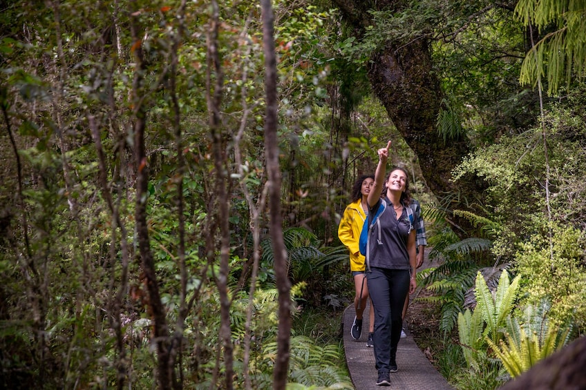 Ulva Island Explorer: Cruise & Guided Walk