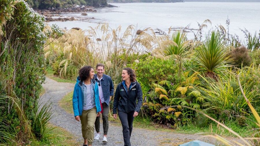 Stewart Island Village & Bays Tours