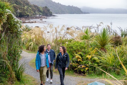 Recorrido por el pueblo y las bahías de Stewart Island