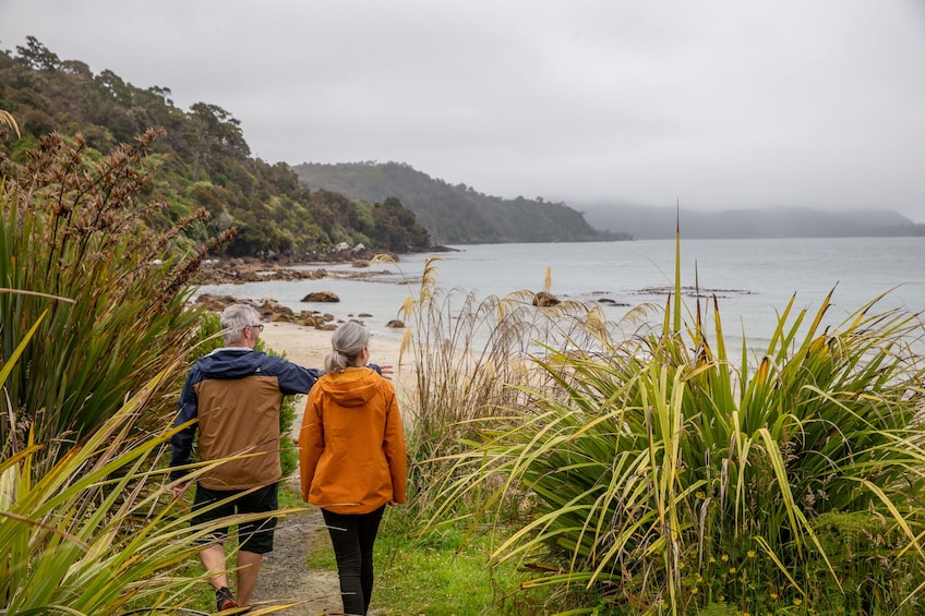 Stewart Island Village & Bays Tours