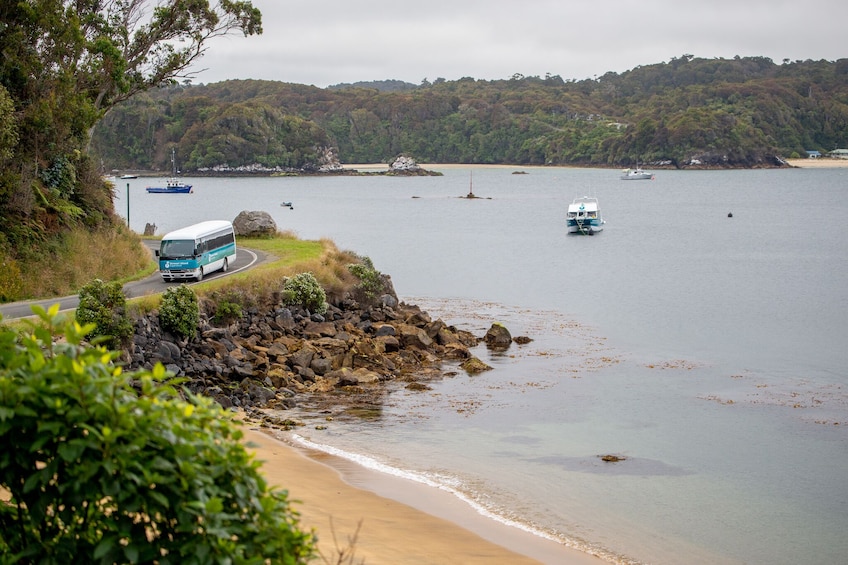 Stewart Island Village & Bays Tours