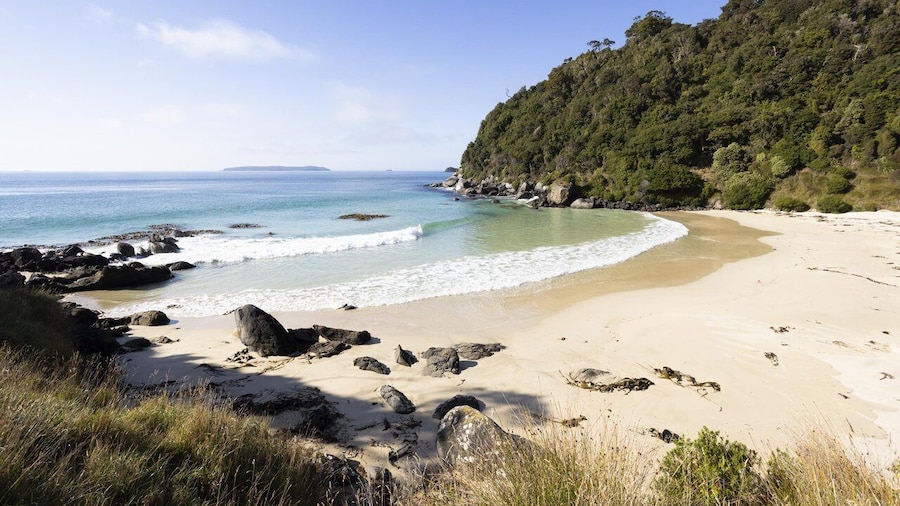 Stewart Island Ferry Service