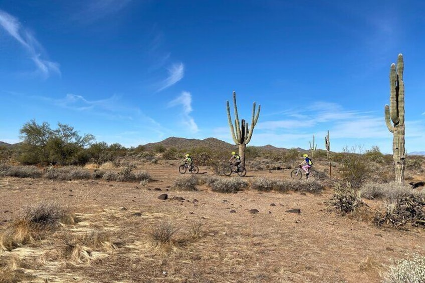 1-2 Hour Desert Guided Mountain Bike Tour