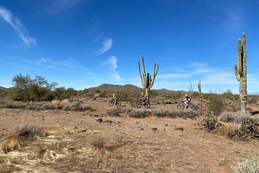 1-2 Hour Desert Guided Mountain Bike Tour