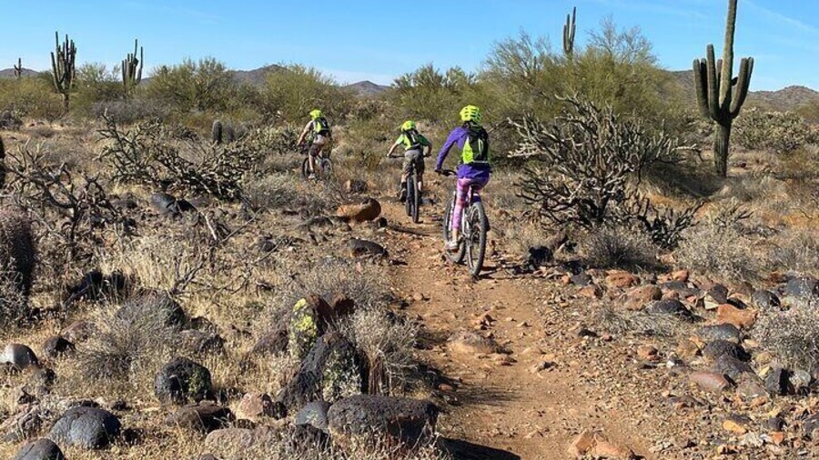 2 Hour Sonoran Desert Private Guided Mountain Bike Tour