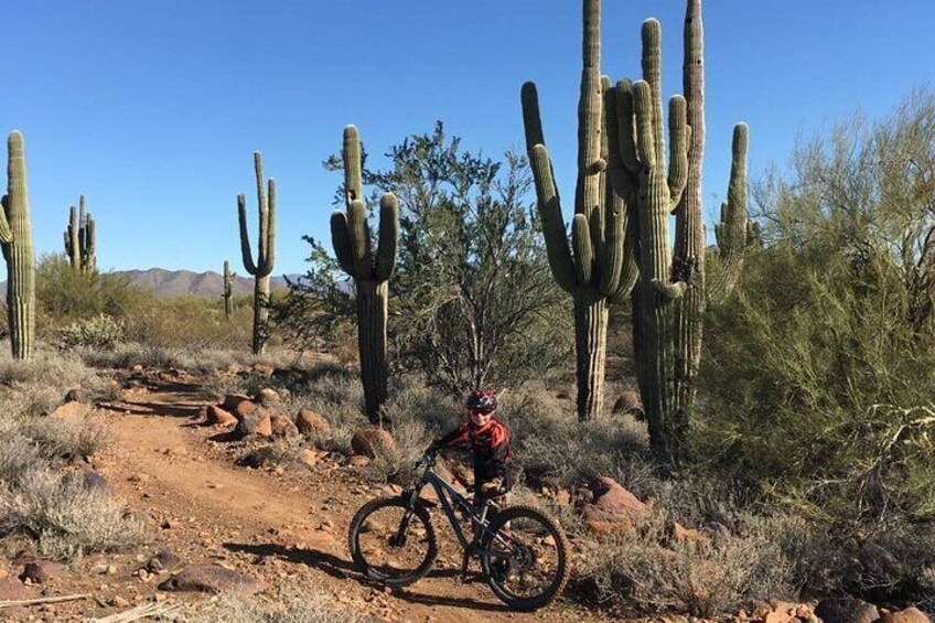 3 Hour Desert Guided Mountain Bike Tour