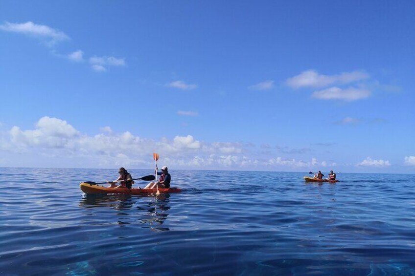 Kayak and Snorkeling Tour in Underwater Nature Reserve Garajau