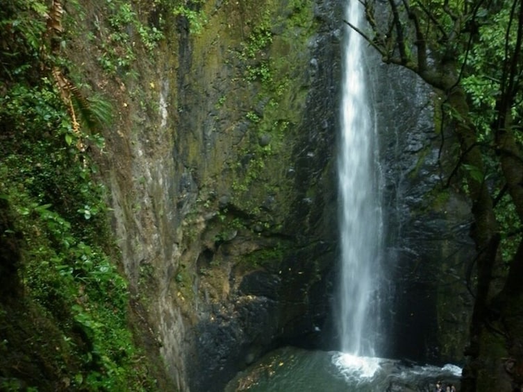 Full Day Towards the El Tambo Waterfall (Private)
