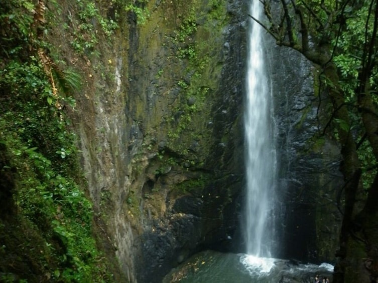 Show item 5 of 6. Full Day Towards the El Tambo Waterfall (Private)