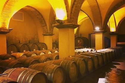 Recorrido vinícola privado por la Toscana desde Florencia