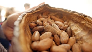 Chocolate All the Way: Guided Chocolate-Tasting Walking Tour