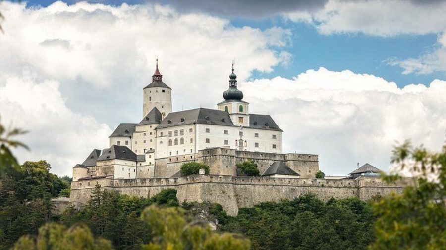 Forchtenstein Castle Guided Tour