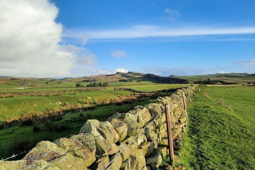 A Roam With a Roman: 2-Hour Guided Walking Tour of Hadrian's Wall