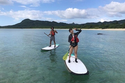 Private SUP Cruising Experience in Ishigaki Island