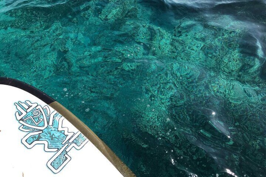 Private SUP Cruising Experience in Ishigaki Island