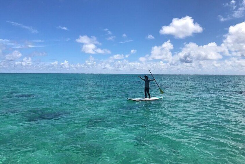 Private SUP Cruising Experience in Ishigaki Island