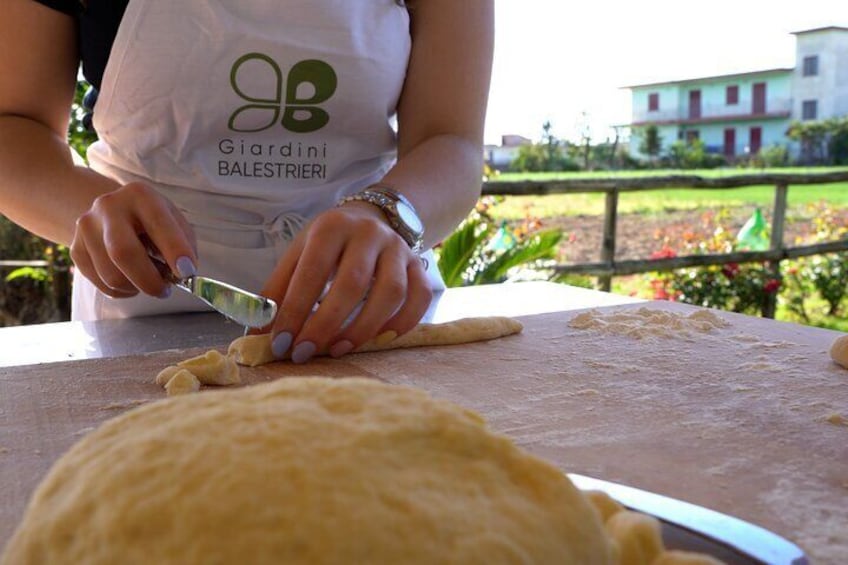 Private guided tour and cooking class in the countryside