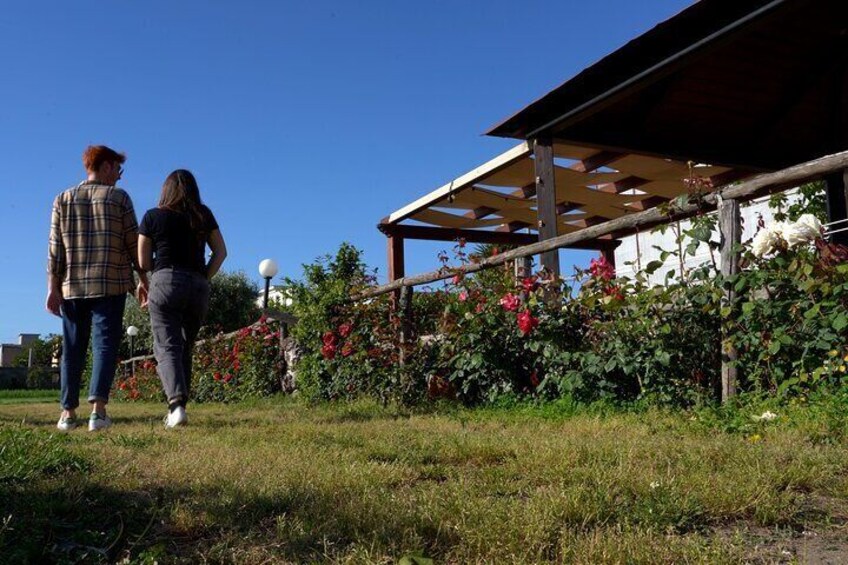 Private guided tour and cooking class in the countryside