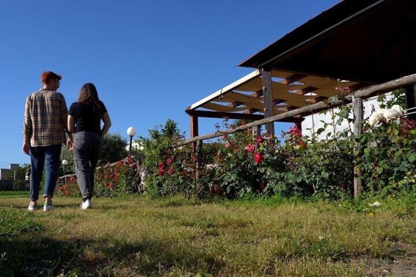 Private guided tour and cooking class in the countryside