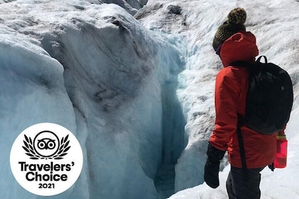 Guided Glacier Hike on The Athabasca with IceWalks 