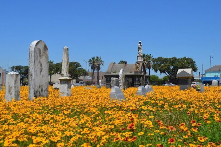 Galveston's Haunted Cemetery Walking Tour