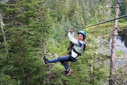 Stoney Creek Canopy Abenteuer