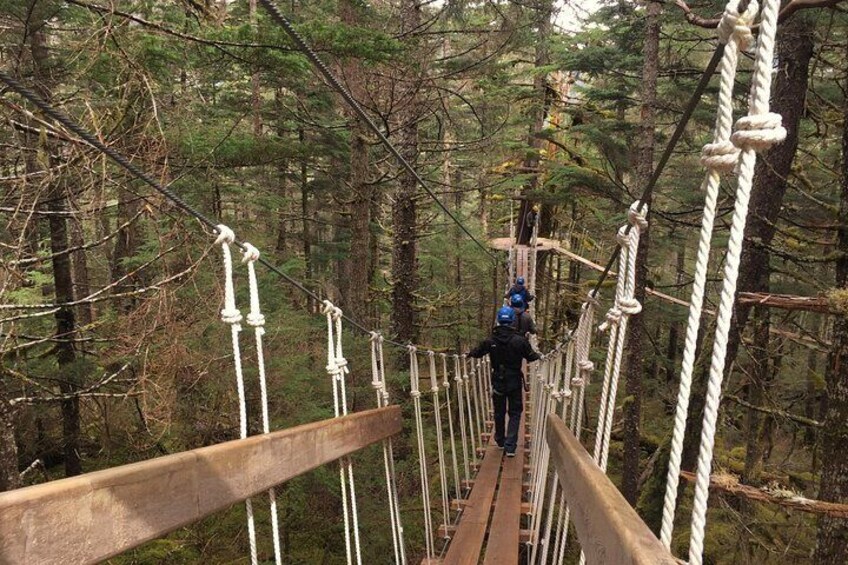 Suspension bridges