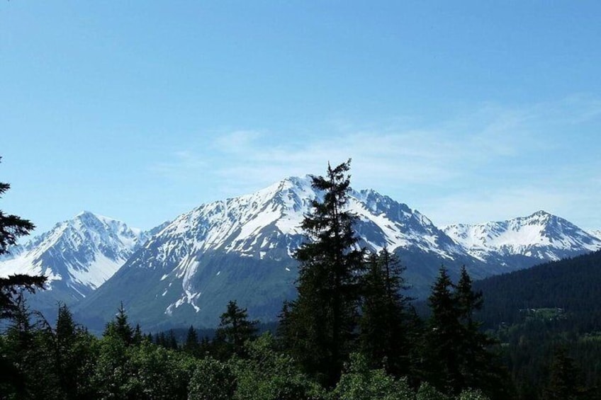 View from the course