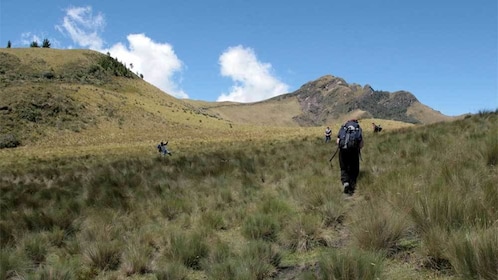 Excursión de un día por el Refugio de Fauna Salvaje Pasochoa