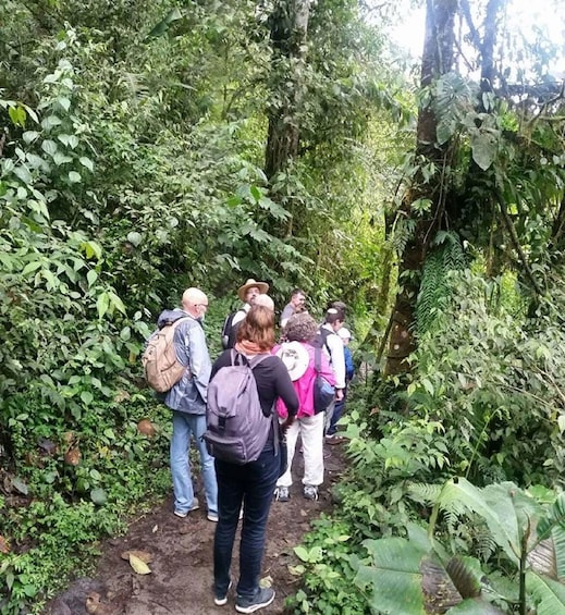 Group walking through the Mindo Cloud Forest