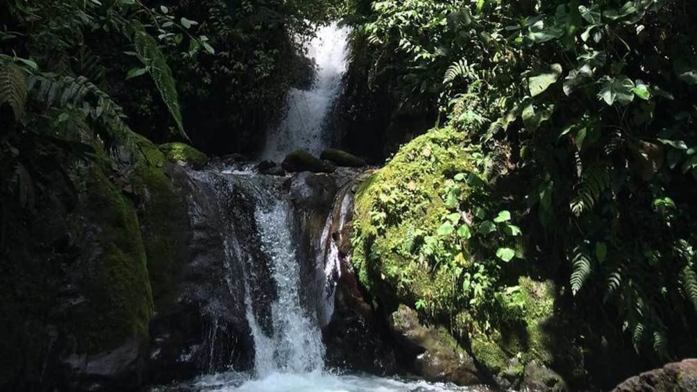 small trickling waterfall in Ecuador