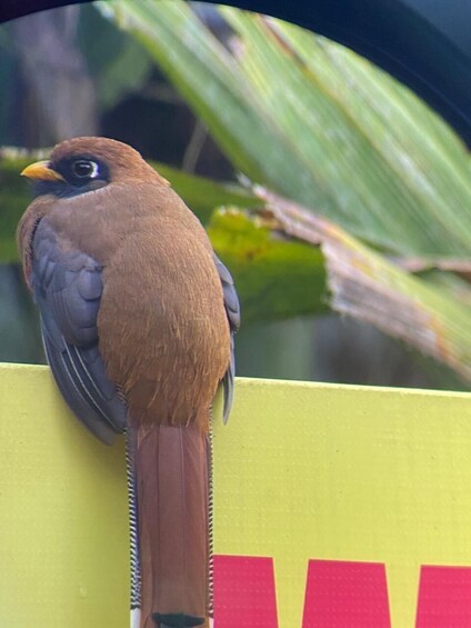 Mindo Day Tour - Birds, Waterfalls, Chocolate Tasting