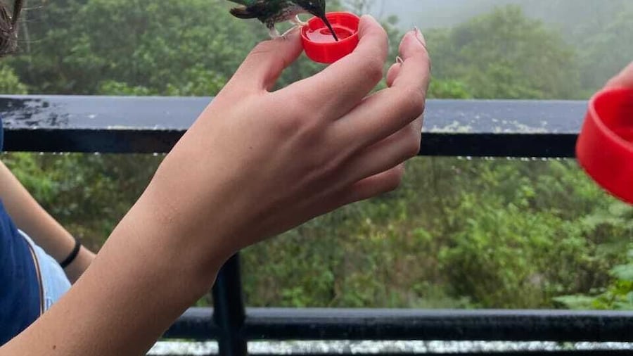Mindo Day Tour - Birds, Waterfalls, Chocolate Tasting