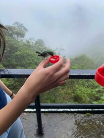 Mindo Cloud Forest - Nature & Birds - Personalised Day Trip