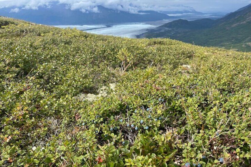 K'esugi Ride Multiday Backpacking Tour