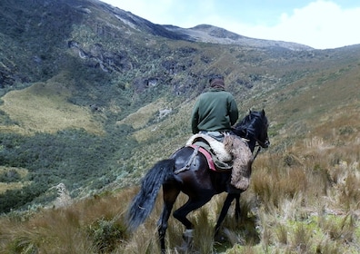 Private Old District Tour, Teleférico and Horseback ride 
