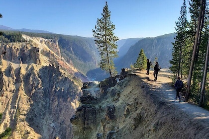Grand Canyon of the Yellowstone Rim and Loop Hike with Lunch