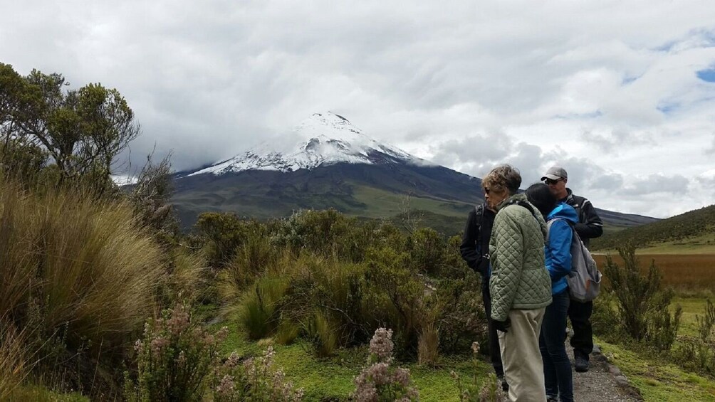 2-Day Antisana & Cotopaxi Volcanoes overnight trip 