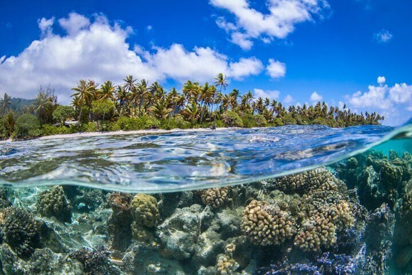 lagoon-service-bora-bora-reef