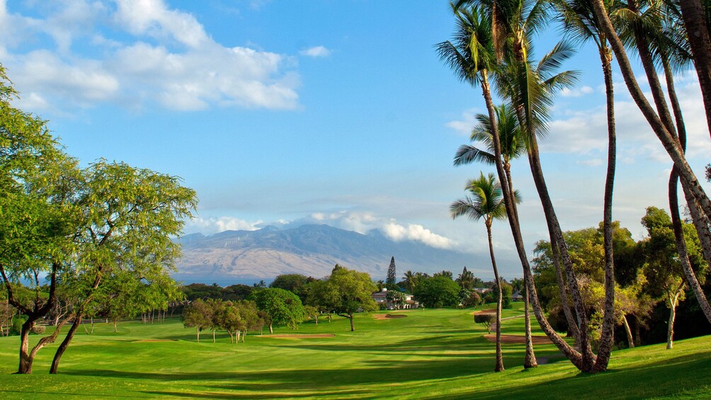 The Wailea Blue Course