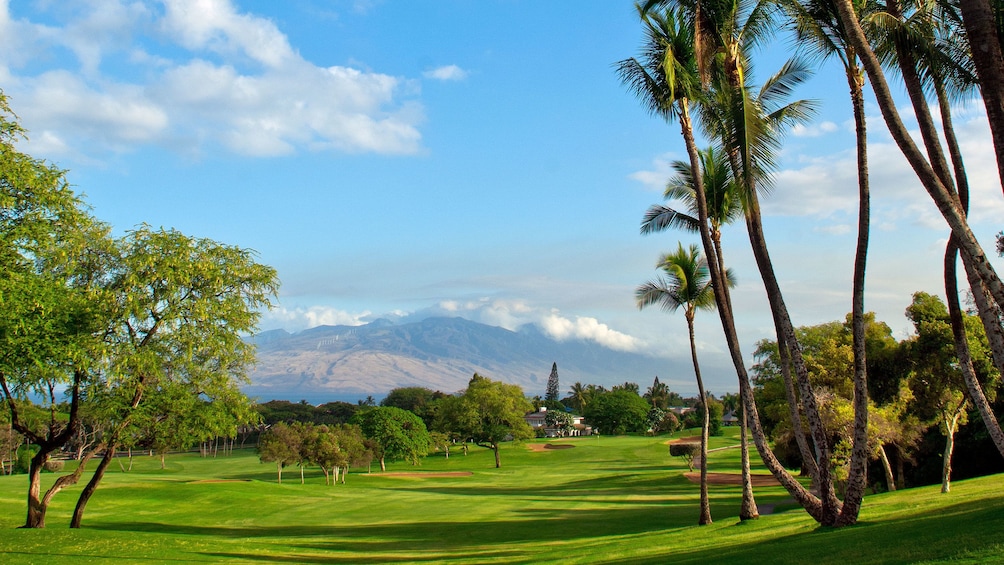 Golf course at Wailea Old Blue in Maui