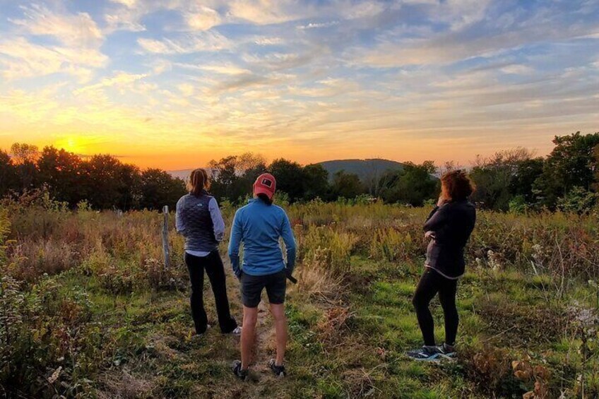 Privately Guided Sunset Hike