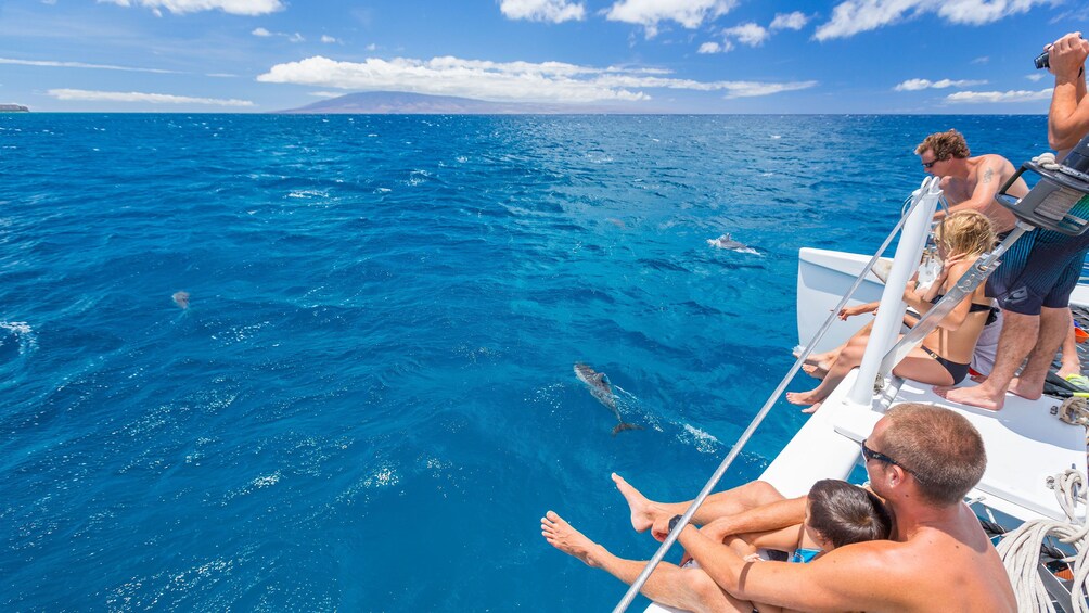 Catamaran Snorkel Cruise from Ka'anapali Beach