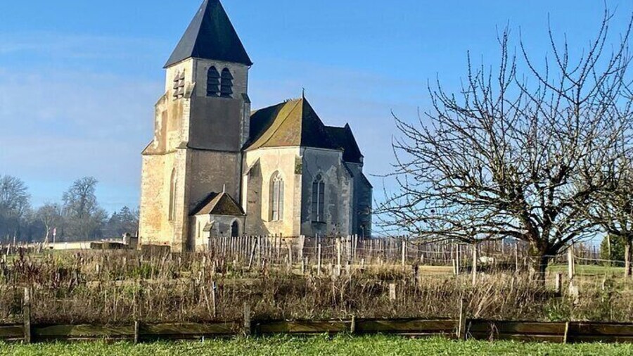 Private Burgundy 3 Domaines Chateau Pommard Chablis 15 Wines Trip