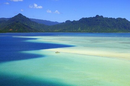 Morning Kaneohe Sandbar Snorkelling Tour