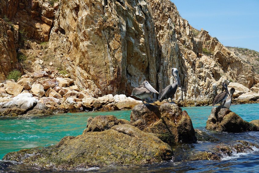 Clear Boat Ride in Los Cabos