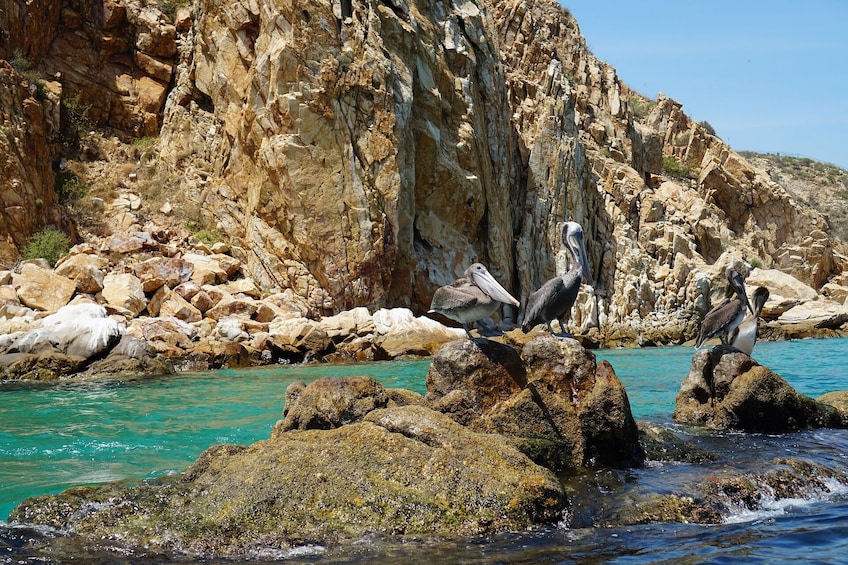 Clear Boat Ride in Los Cabos