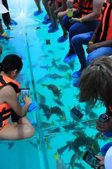 Clear Boat Ride in Los Cabos with Transportation