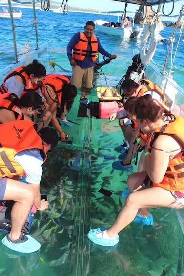 Clear Boat Ride in Los Cabos with Transportation